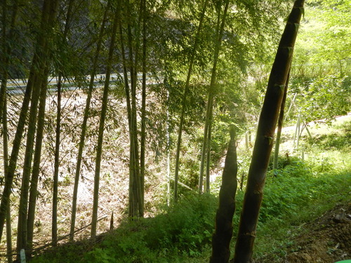 c0194522_14532359.jpg