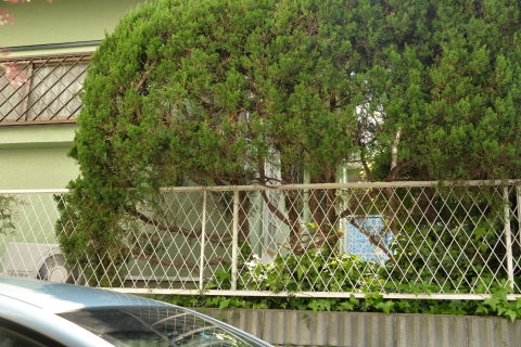 e0335926_13571658.jpg