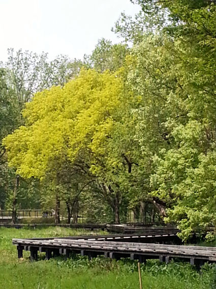 b0075429_883315.jpg