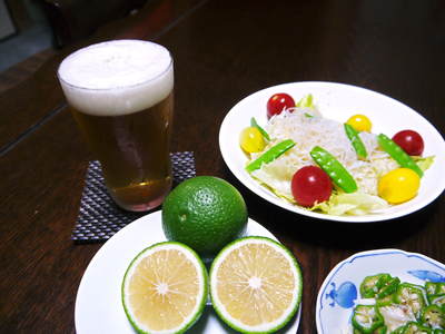種なしかぼす 今年も順調に元気に芽吹きました!!_a0254656_19402047.jpg