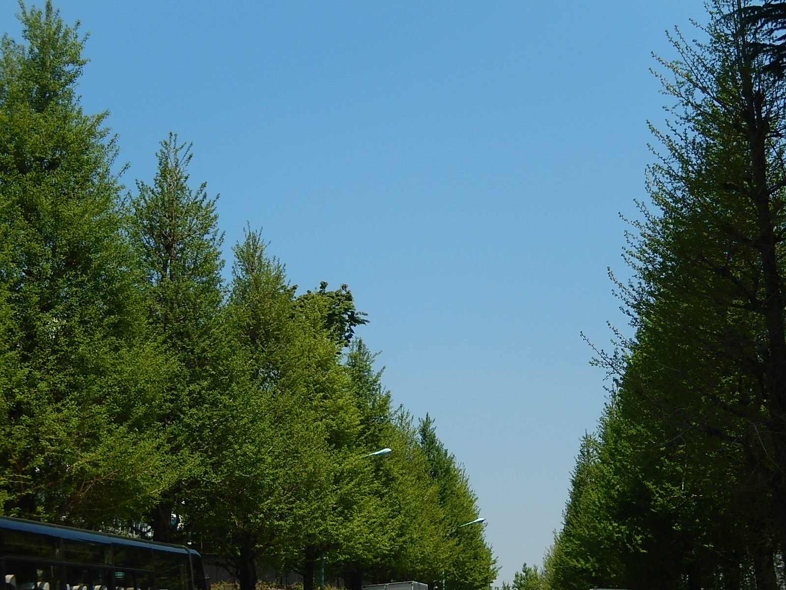 4月23日 渋谷 原宿 の自転車屋 FLAME bike前です!_e0188759_12372777.jpg