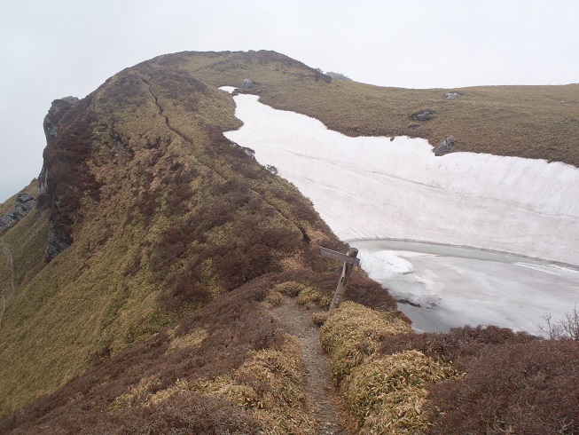 d0032262_97875.jpg