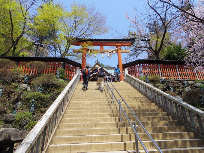 高尾山　山桜　２/３_d0031171_81097.jpg