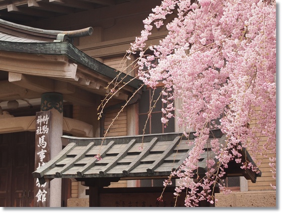 竹駒神社_e0142377_194940.jpg