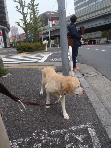 なるほどのタケノコ梅雨 _f0052277_01243146.jpg