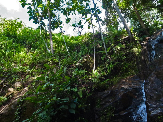 from Ng Pinoh Selatan【AZ0414-1】_a0067578_83084.jpg