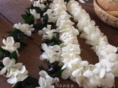 f0238081_17013042.jpg