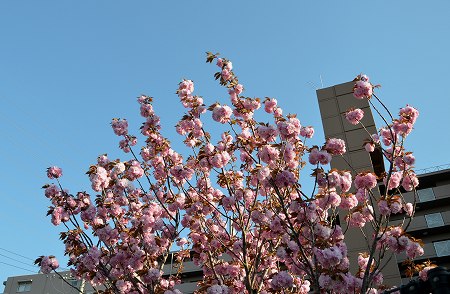c0229483_10523228.jpg