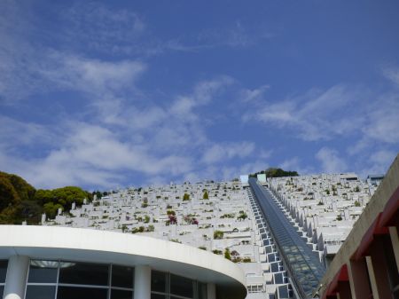 2014年4月23日 親方きたよ_b0098584_15472912.jpg