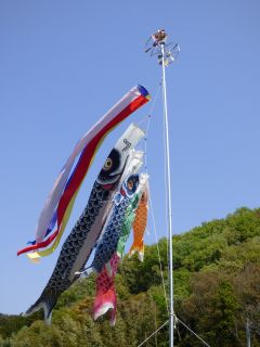 2014年4月23日 親方きたよ_b0098584_15482597.jpg