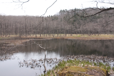 b0207284_72217.jpg