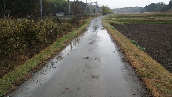 c0177785_1541866.jpg