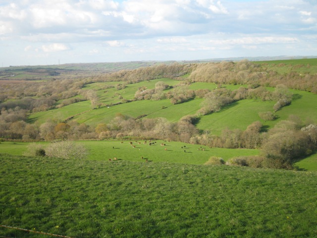 f0141785_21220.jpg