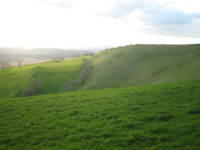 f0141785_24084.jpg
