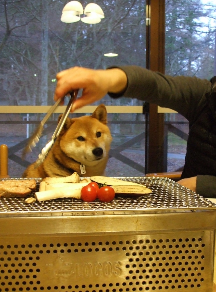 14 114 ロッヂ花月園にて ぽん吉一家の日常酒飯事