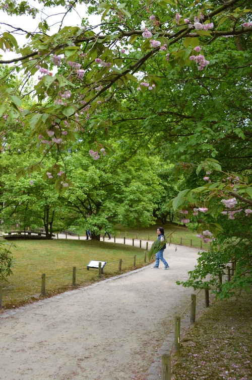 Hasselt - jardin japonais_d0196594_17501561.jpg