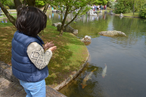 Hasselt - jardin japonais_d0196594_17532733.jpg