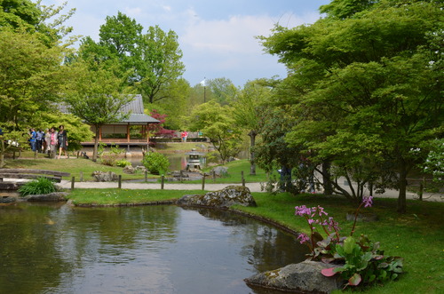 Hasselt - jardin japonais_d0196594_1813784.jpg