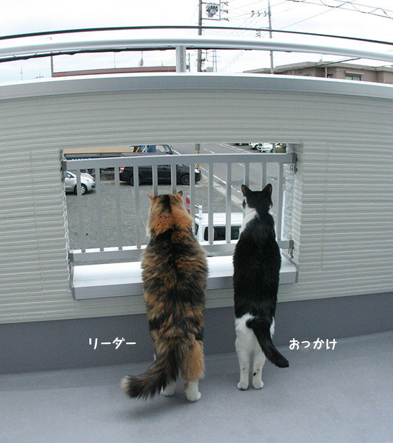 d0071596_2214451.jpg