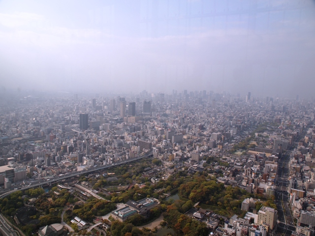 京都・大阪の桜見物の旅 2014 ④_b0292900_19423246.jpg