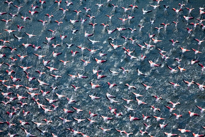 c0072801_3373024.jpg