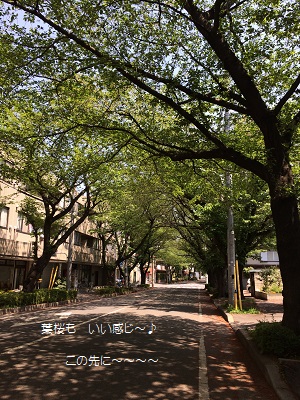 a0134004_2384286.jpg