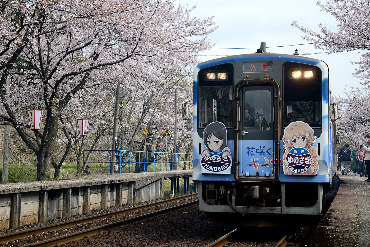 のと鉄道 NT200型 - 「急行ゆのさぎ」 -_d0226909_10403081.jpg