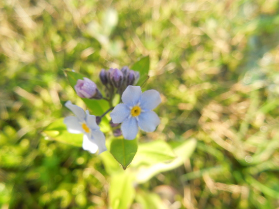 f0297809_0574133.jpg