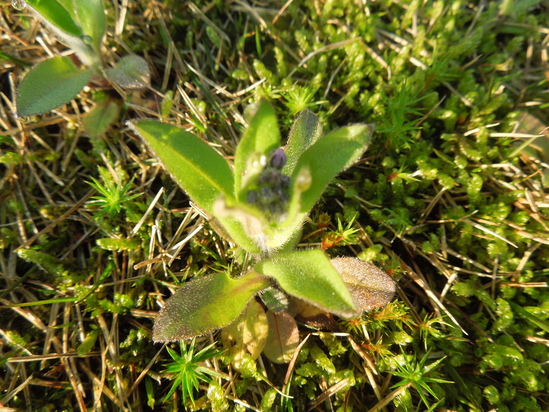 f0297809_0581669.jpg