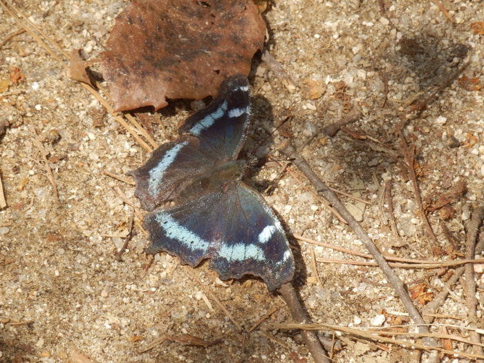 f0219710_79584.jpg