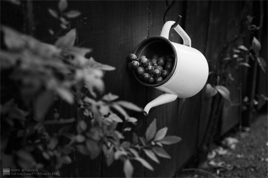 SONY α7 スナップ #110_e0117517_18562739.jpg