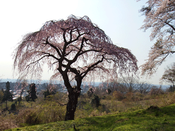 f0232920_23213121.gif