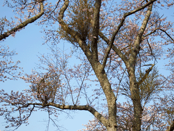 f0232920_23221874.gif
