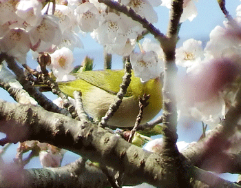 f0232920_23252054.gif