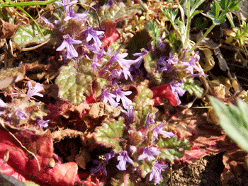 f0232920_23304239.gif