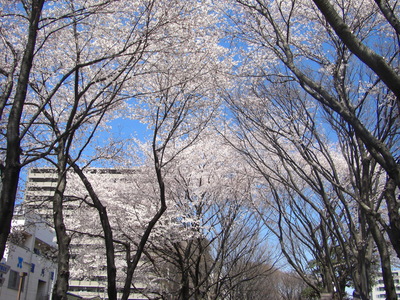 c0074721_1601879.jpg