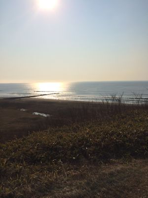 f0147821_22334438.jpg