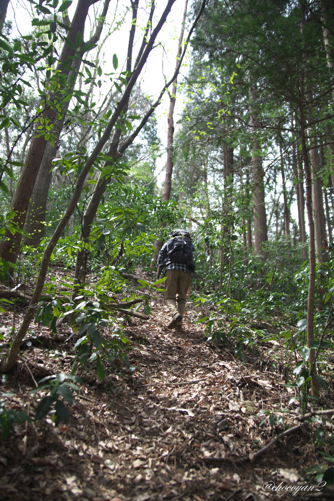 春の高尾山登山①♪　2014年4月13日(日)_d0161322_12480131.jpg