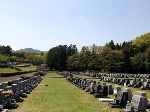 a0026127_17411281.jpg