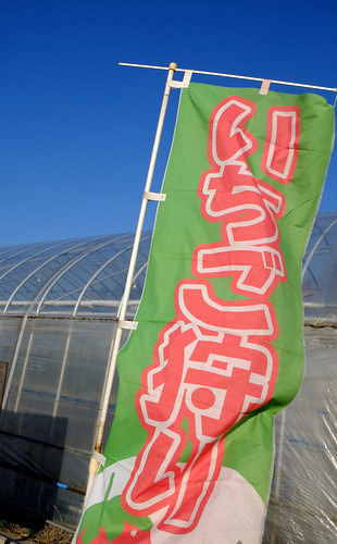 「益田・津和野の旅 ますだこうさんファームの紅ほっぺ狩り、にちはら総合研究所の冬虫夏草」_a0000029_10154955.jpg