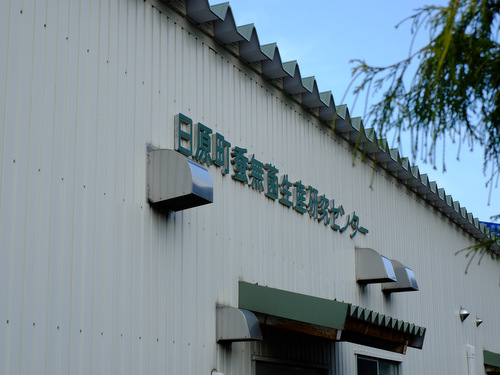 「益田・津和野の旅 ますだこうさんファームの紅ほっぺ狩り、にちはら総合研究所の冬虫夏草」_a0000029_11563757.jpg