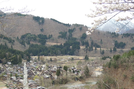 b0060029_1115344.jpg