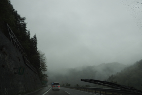 b0060029_1131094.jpg