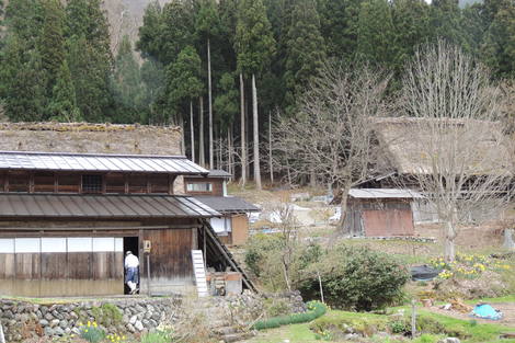 b0060029_11433347.jpg