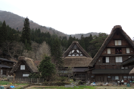 b0060029_118533.jpg