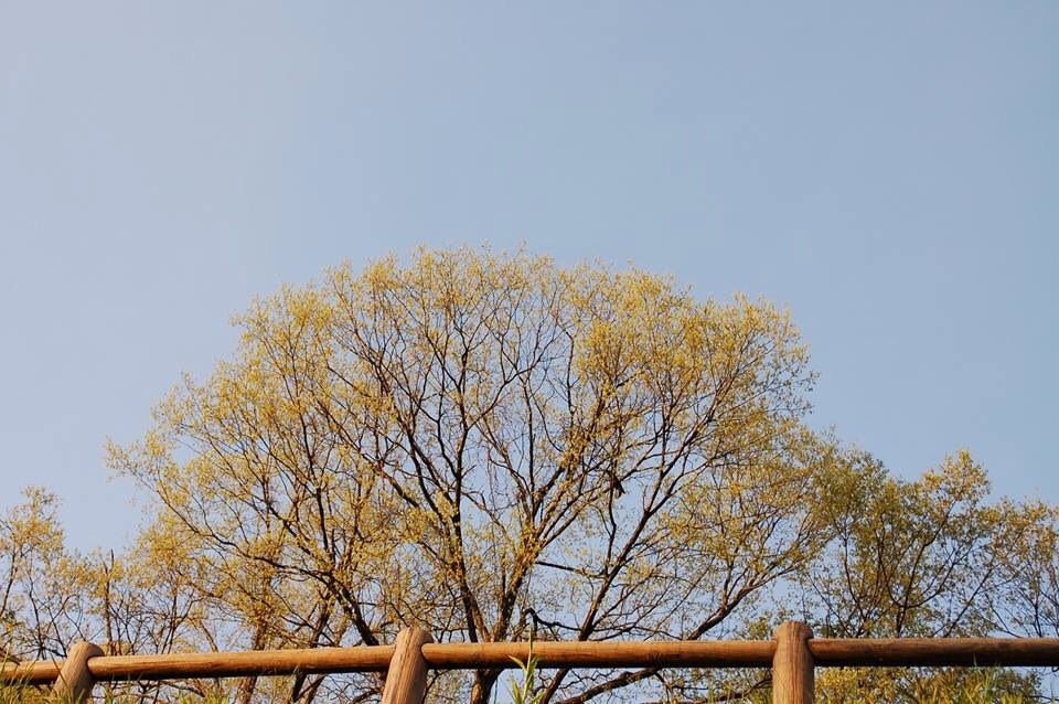 b0097729_225517.jpg