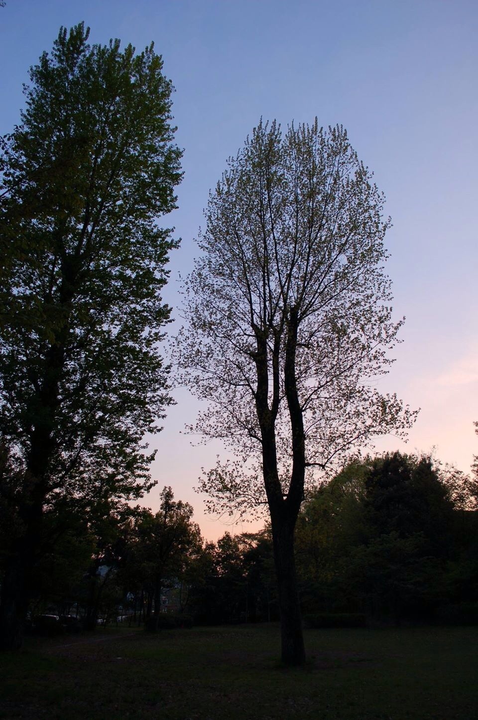 b0097729_23141335.jpg