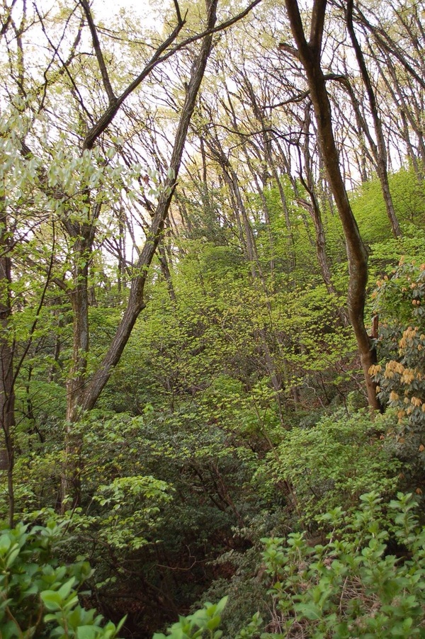 b0097729_23343873.jpg