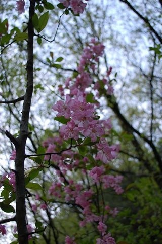b0097729_2375678.jpg