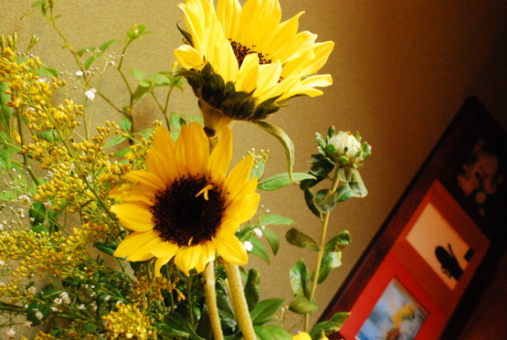 f0238332_1373280.jpg